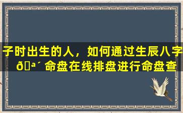 子时出生的人，如何通过生辰八字 🪴 命盘在线排盘进行命盘查 🐵 询